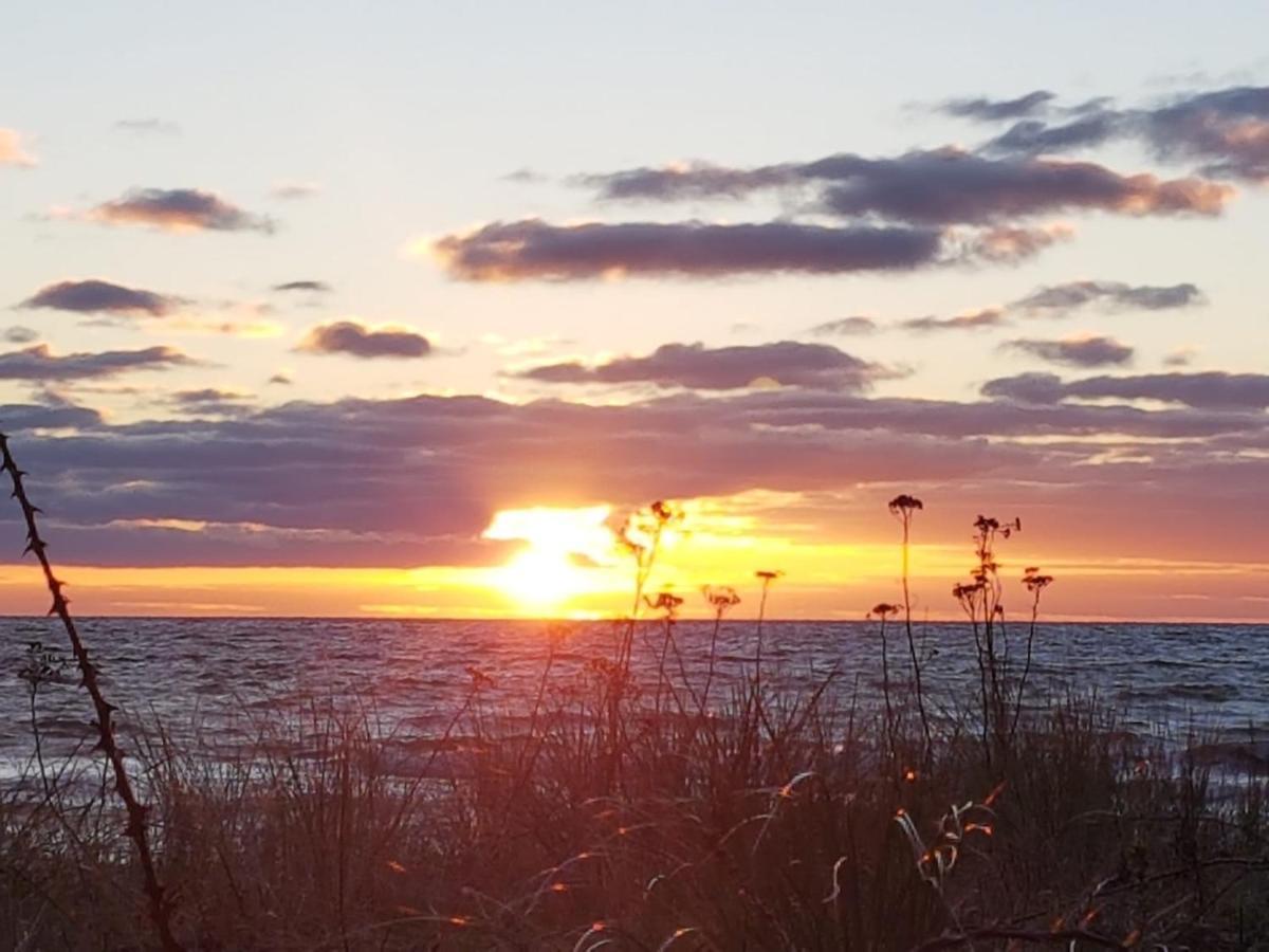 Ferienwohnung "Luv" Grube Ostsee Esterno foto