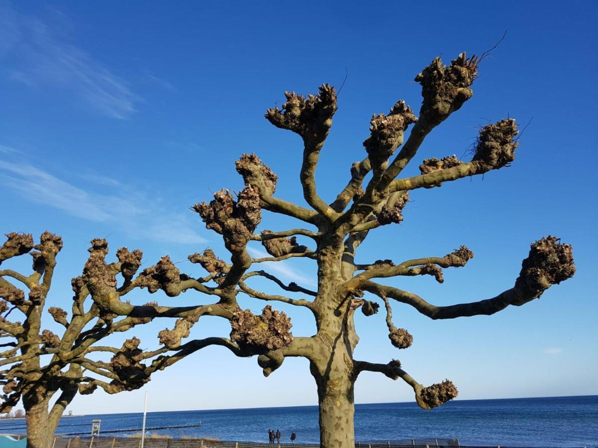 Ferienwohnung "Luv" Grube Ostsee Esterno foto