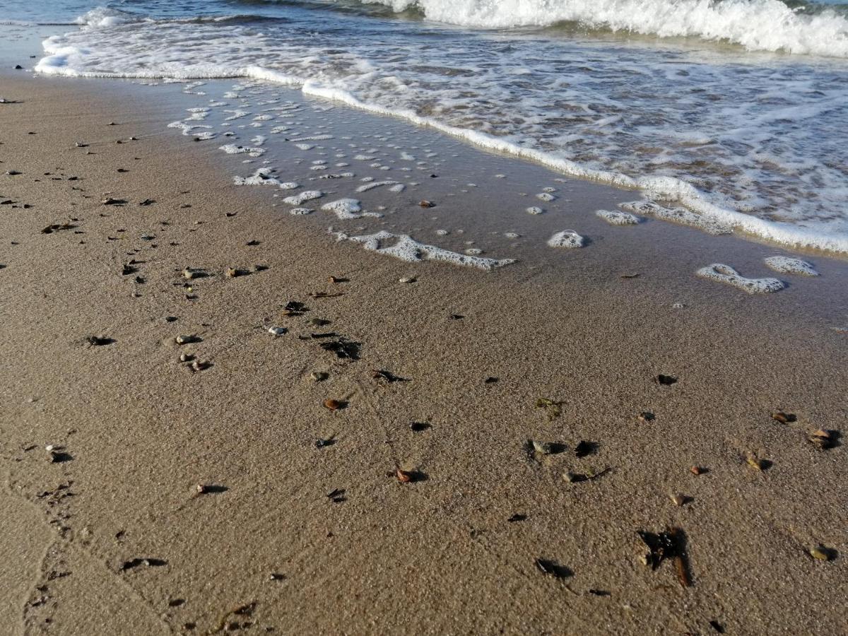 Ferienwohnung "Luv" Grube Ostsee Esterno foto