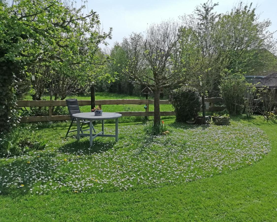 Ferienwohnung "Luv" Grube Ostsee Esterno foto
