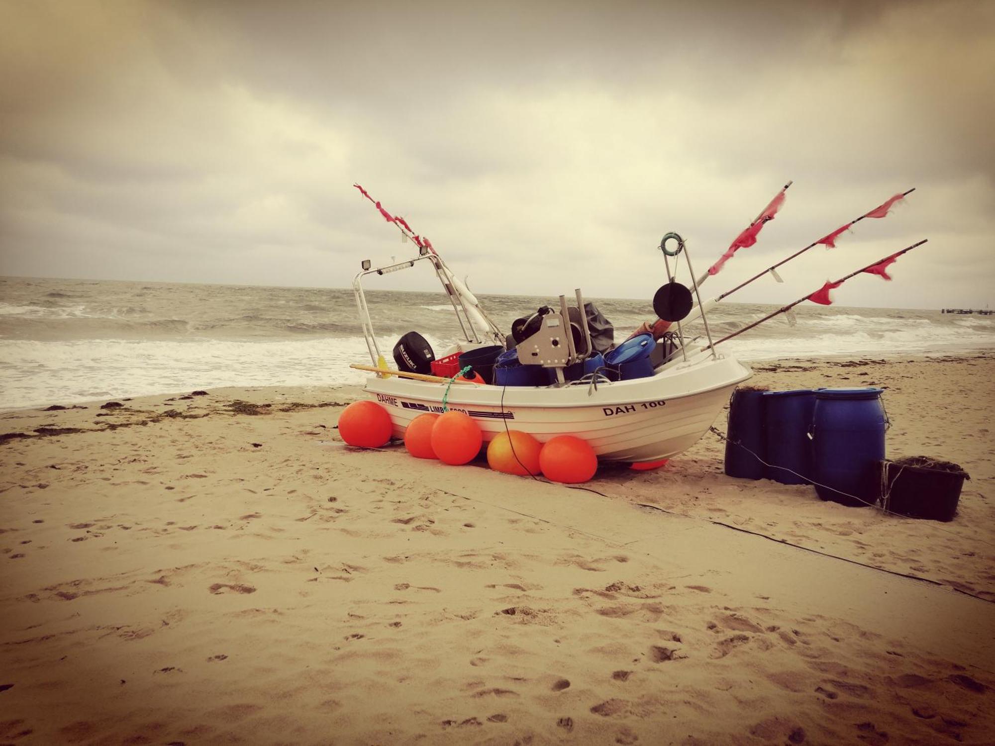 Ferienwohnung "Luv" Grube Ostsee Esterno foto
